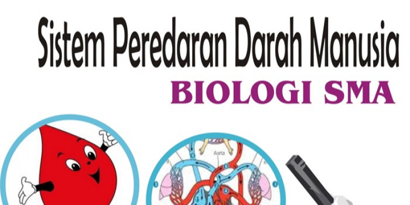 Guru Berbagi Sistem Peredaran Darah Manusia