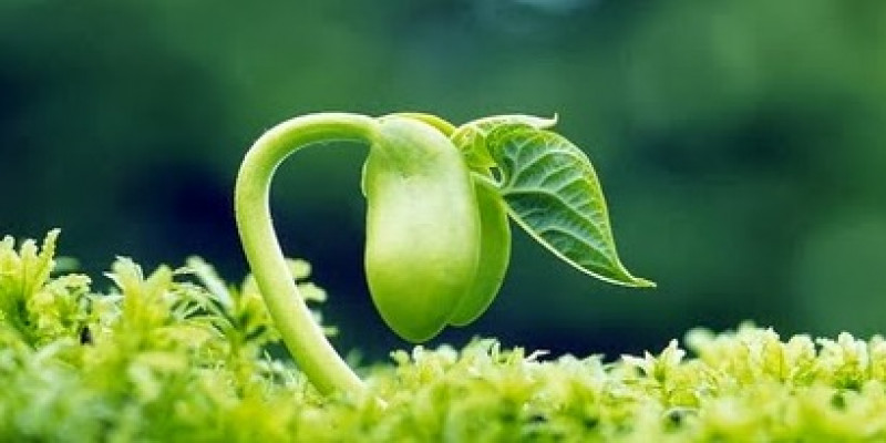 GURU BERBAGI | CIRI TUMBUH DAN BERKEMBANG