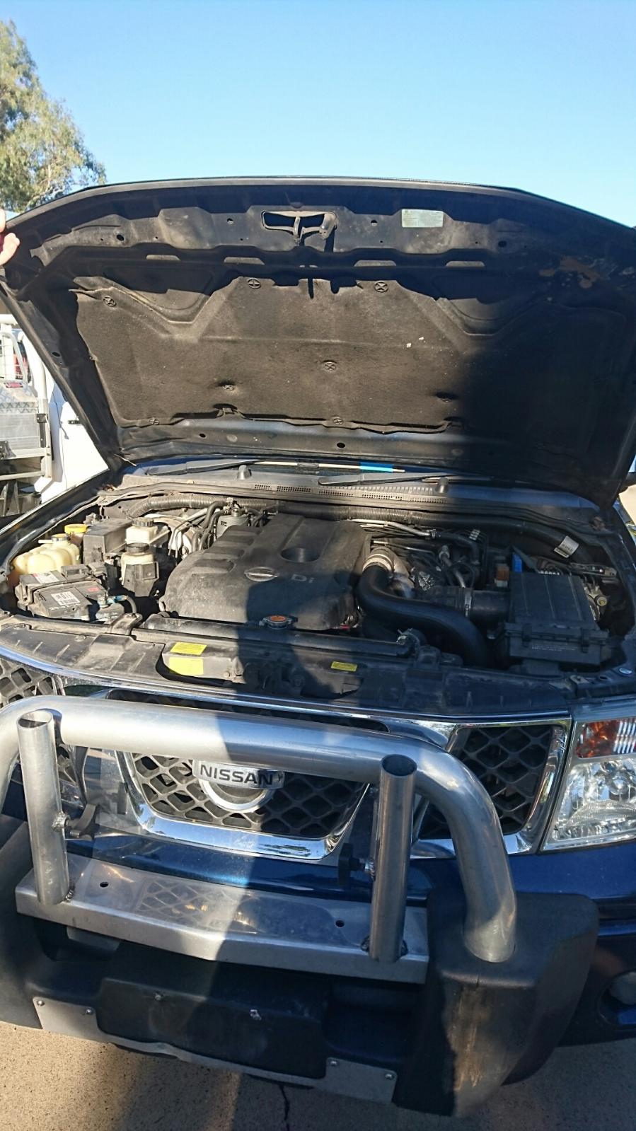 Trans Lines Navara Nissan 2008