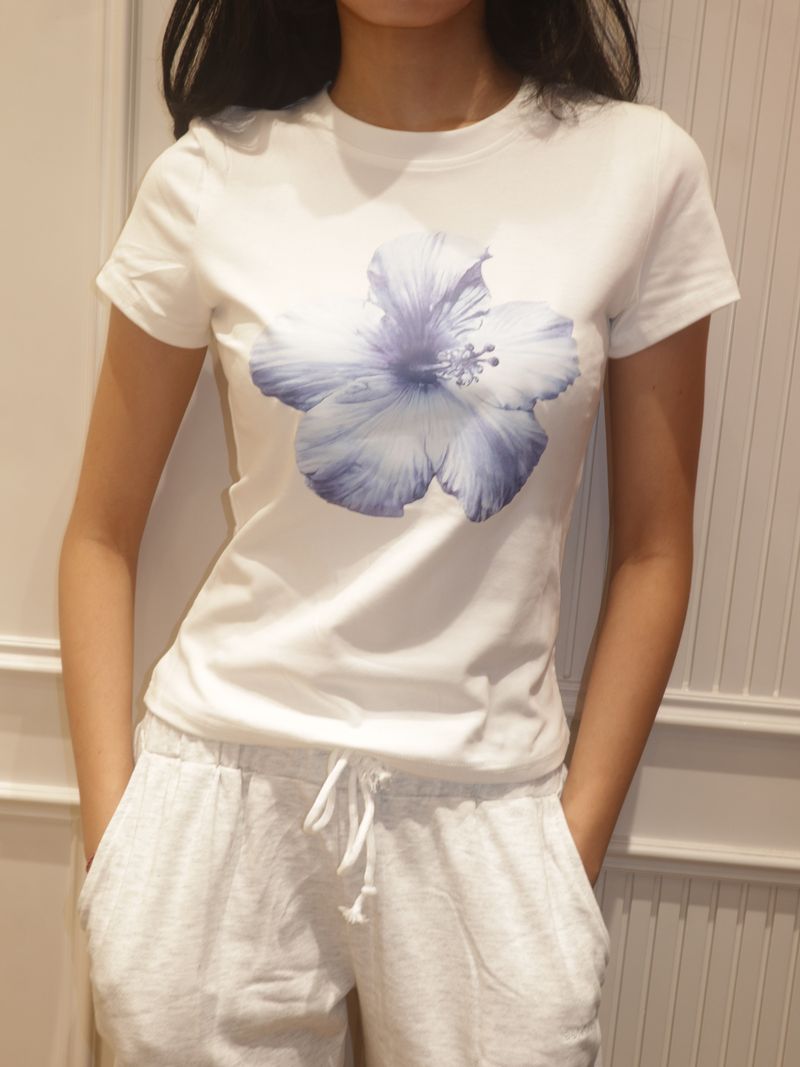 Sunday blue flower thumbnail 4