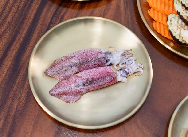 Squid