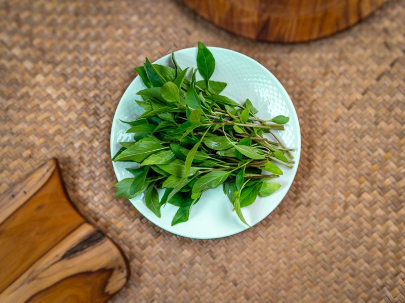 Basil