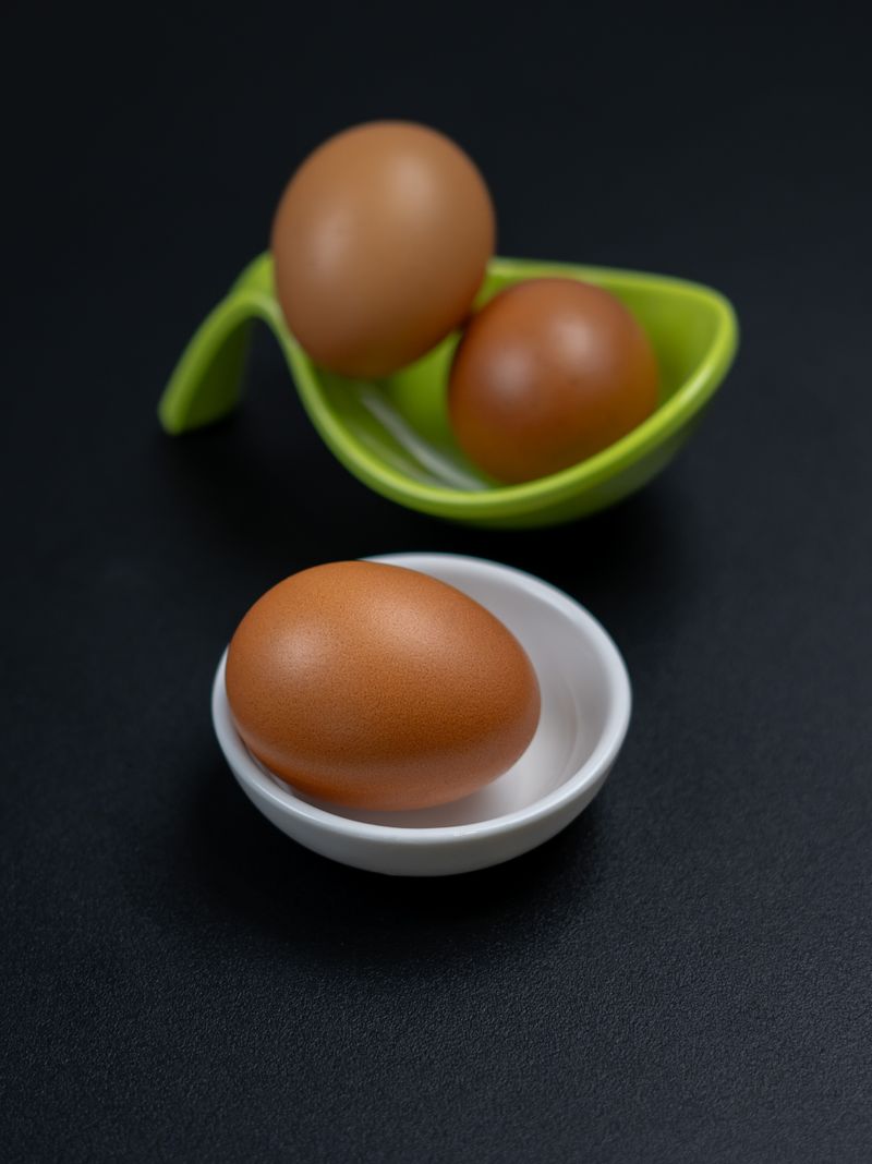 Chicken Egg