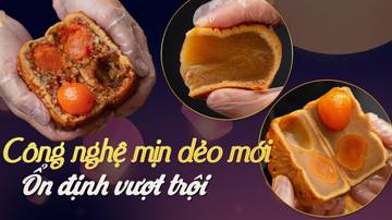 Khóa học: Cách làm Bánh Trung thu Mịn Dẻo Cao cấp