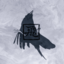 Fly