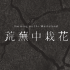 《荒蕪中栽花》周五放映