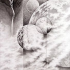 2013澳門視覺藝術年展──中國書畫類