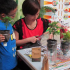 膠樽再利用工作坊——盆栽種植