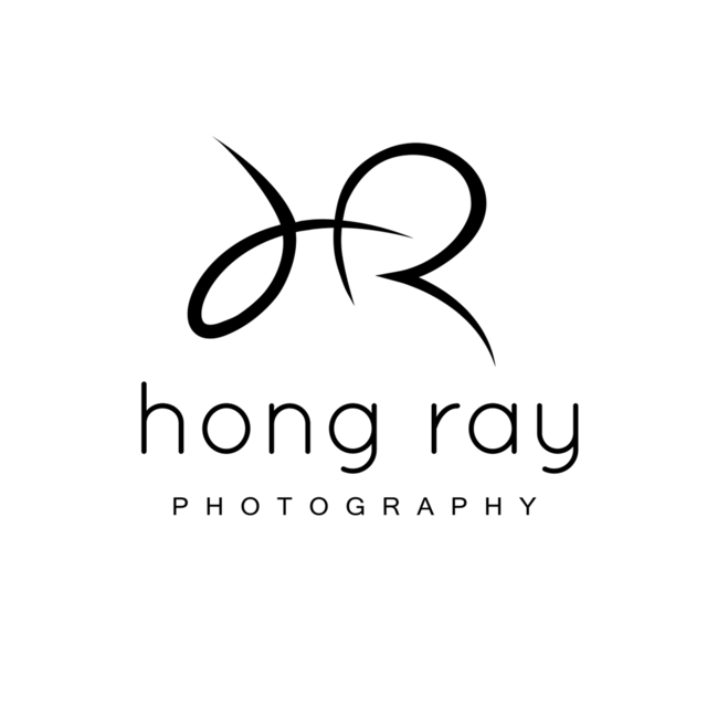 Professional logo %28for web%29