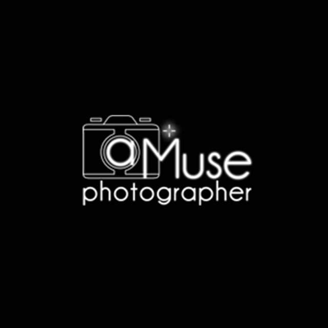 Professional logo %28for web%29