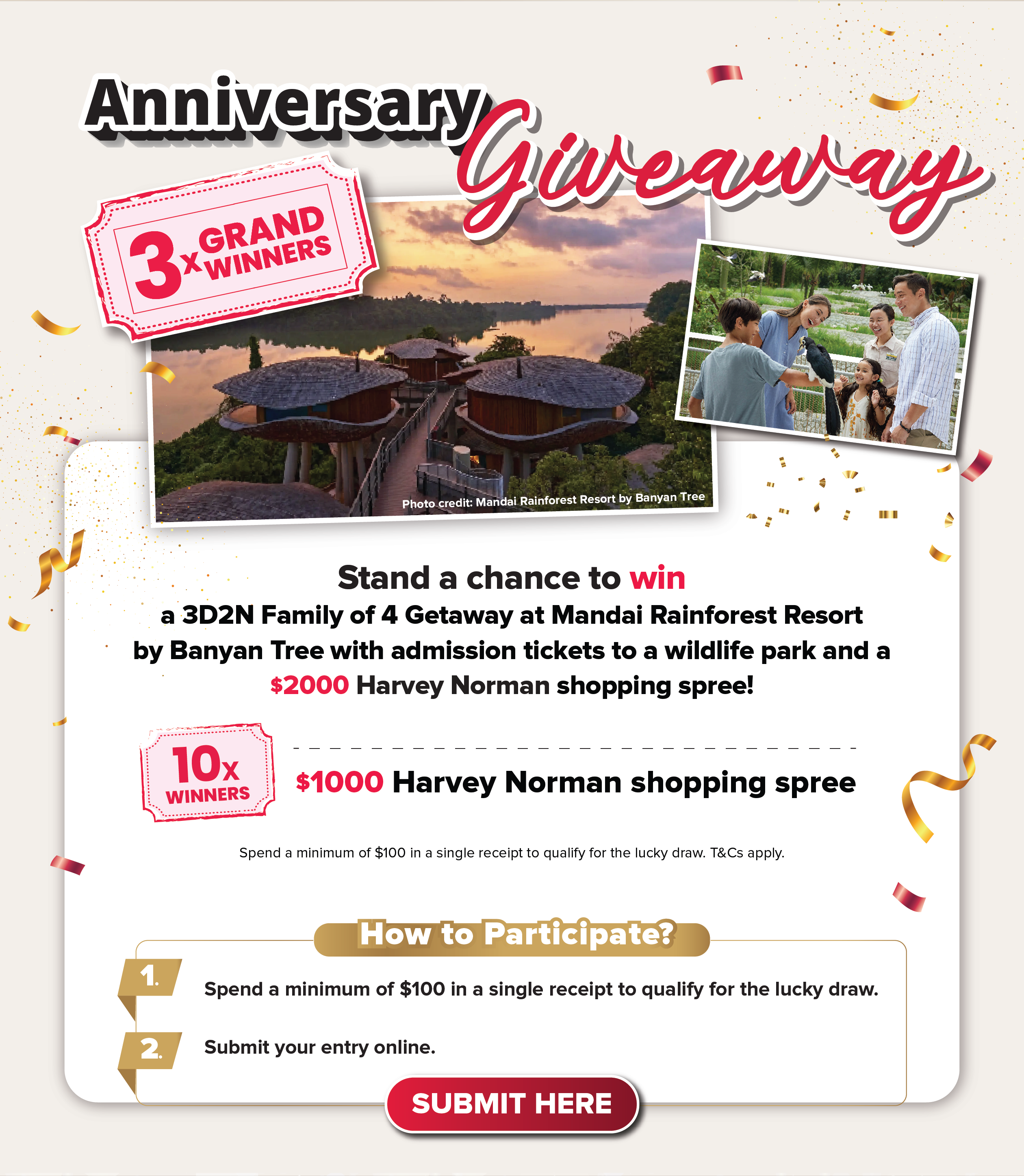 Anniversary Giveaway - Submit Entry
