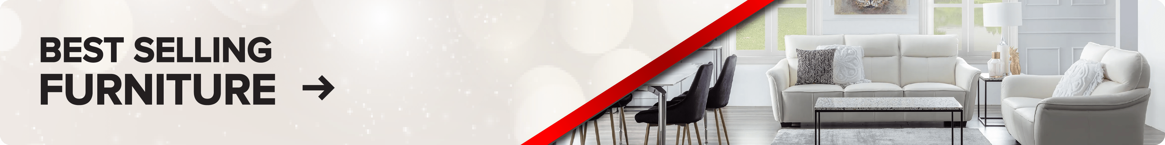 24th Anniversary Sale Furniture