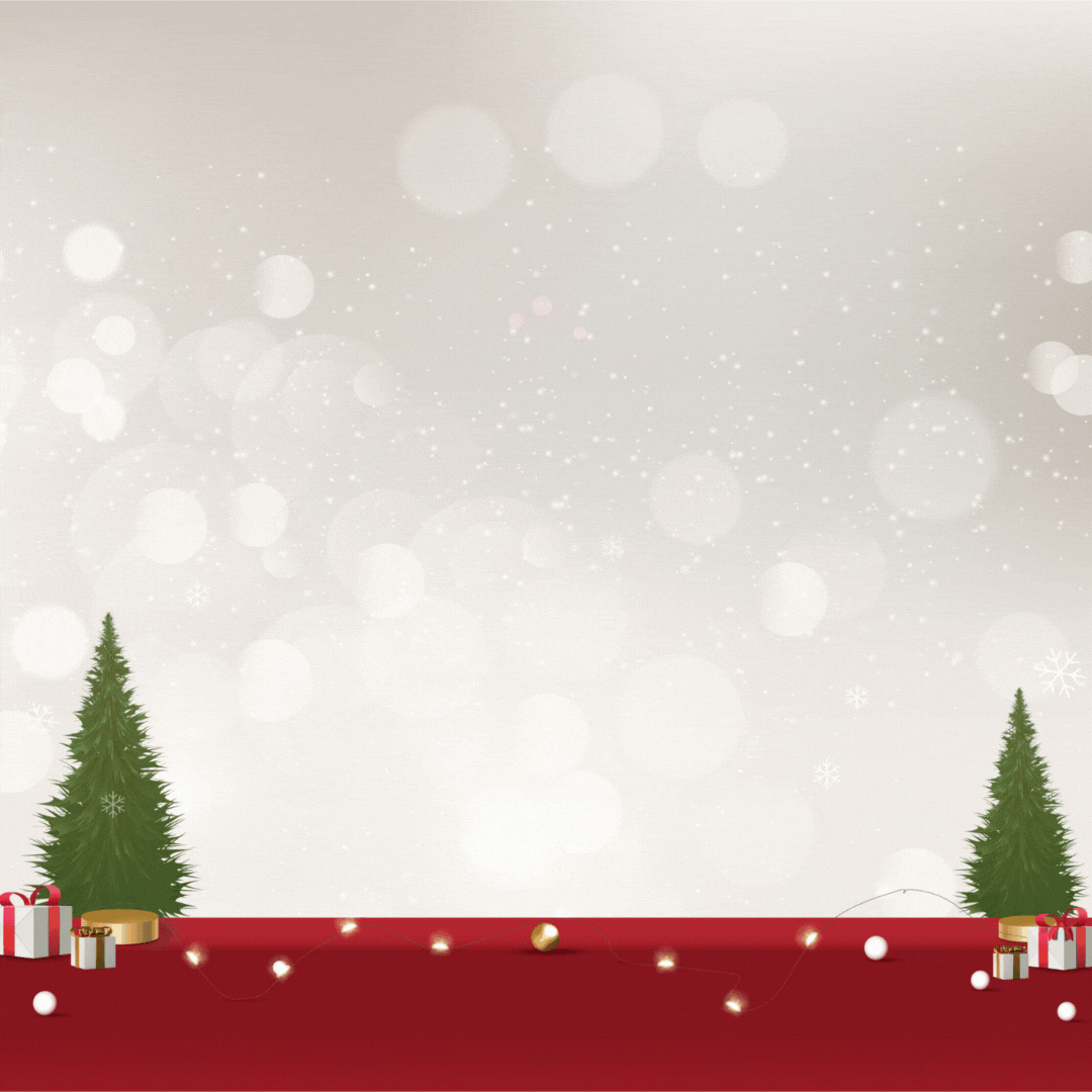 Annual Christmas Sale