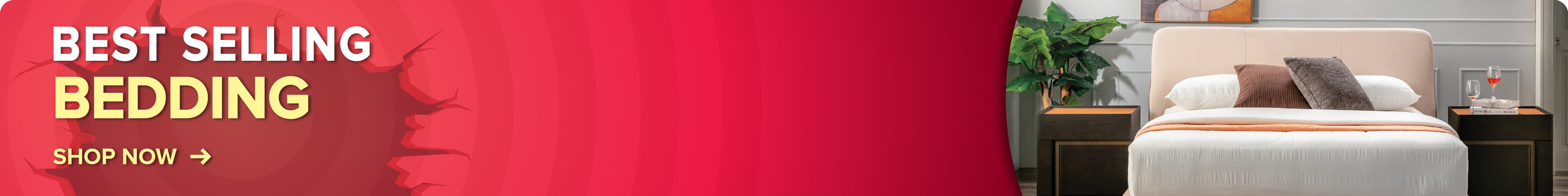 Biggest Ever RM100 Million Stock Clearance Bedding