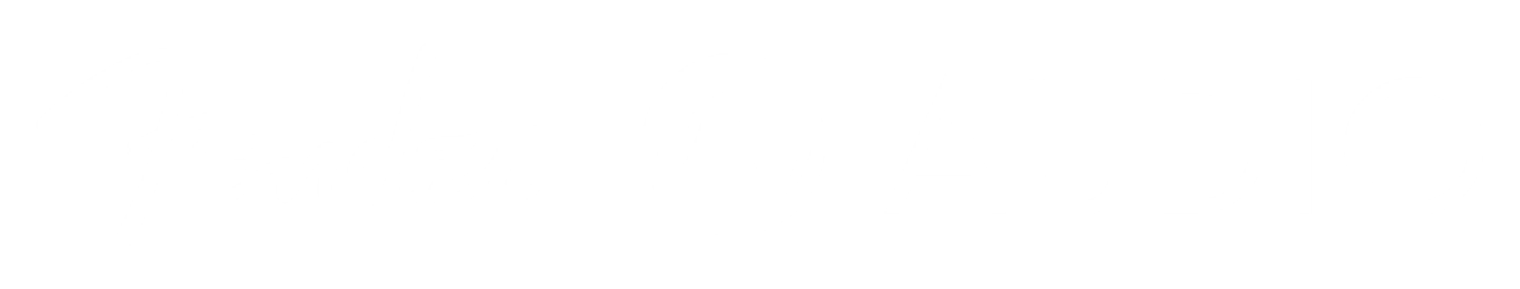 Fender Audio Logo