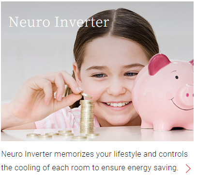 Neuro Inverter