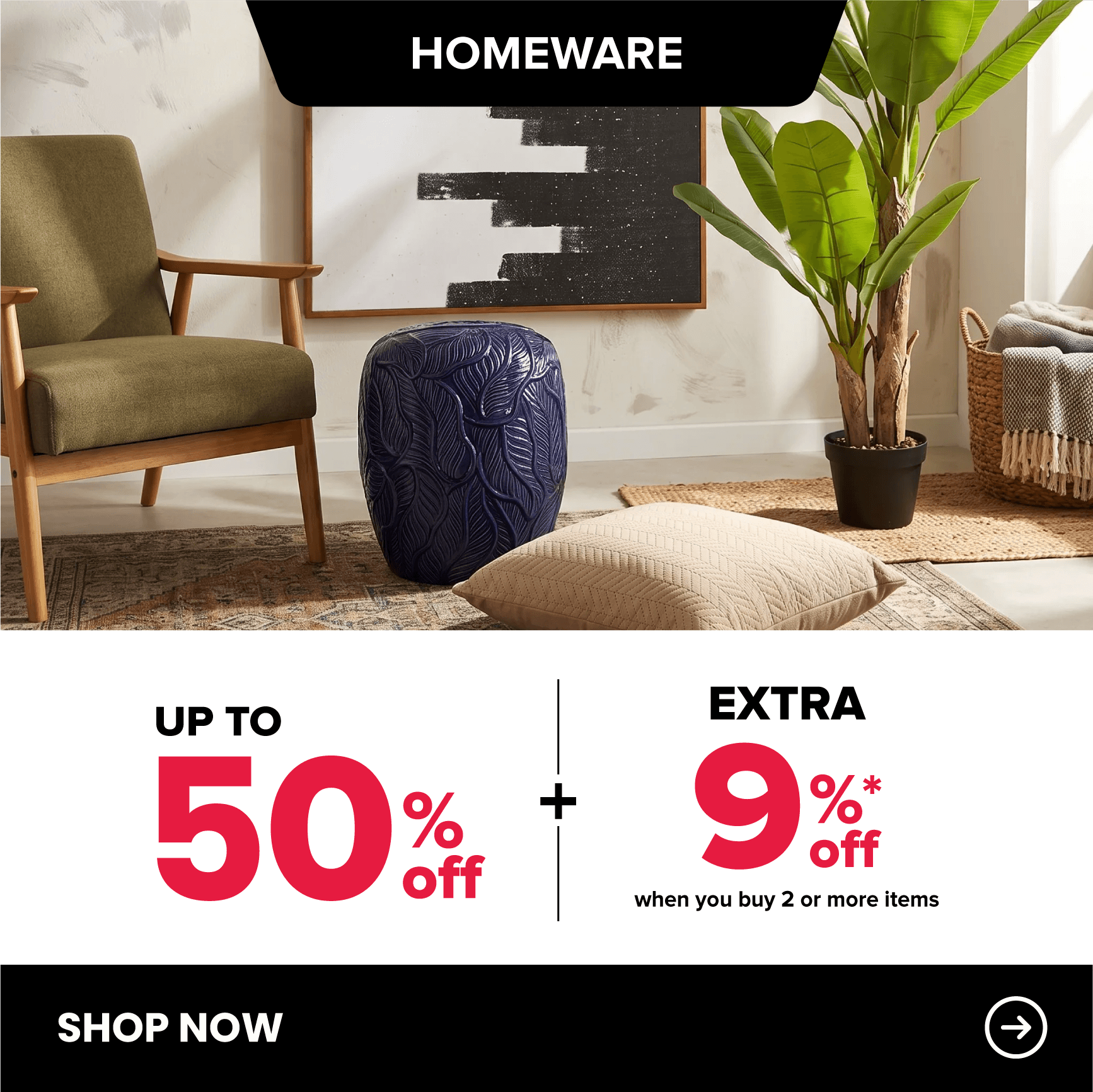 Homeware Promo
