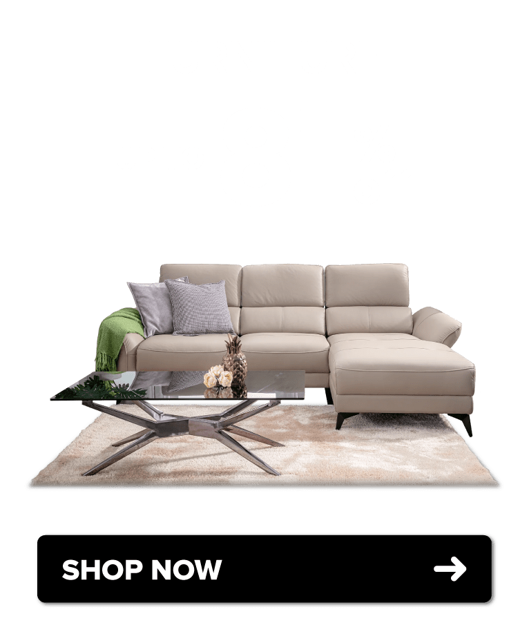 Sure Win CNY Sale Furnitures