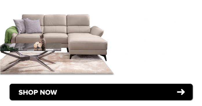 Sure Win CNY Sale Furnitures