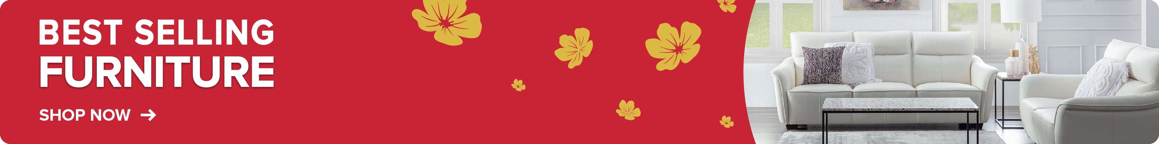 Sure Win CNY Sale Furniture