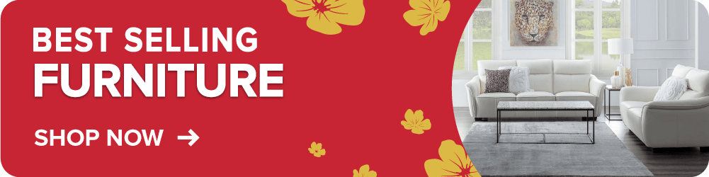 Sure Win CNY Sale Furniture