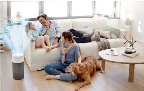 Blueair air purifier in Living Room