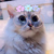 lisah_s