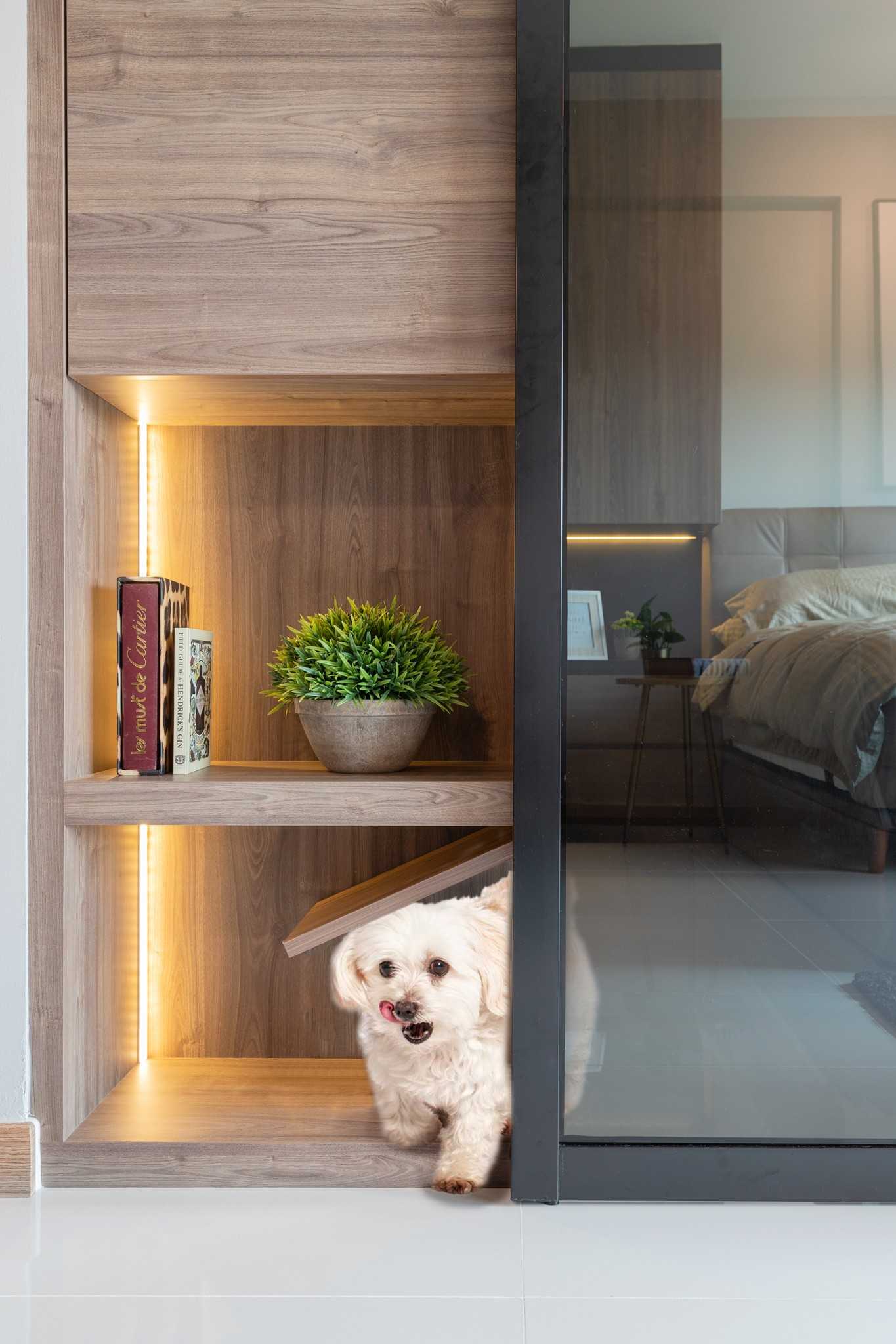 Modern Living Room with Display Cabinets and Pets