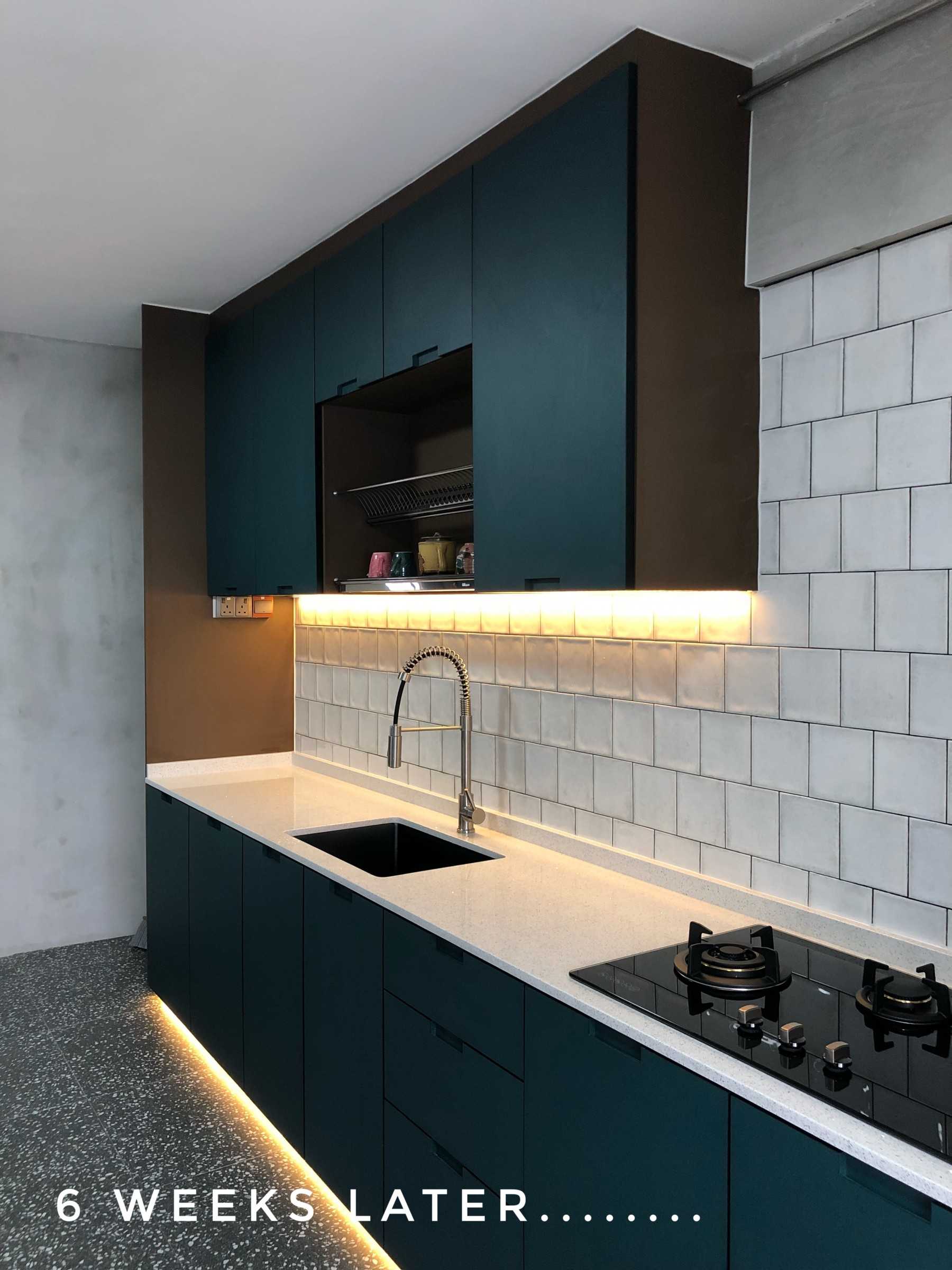 Industrial Kitchen with Countertop and Homogeneous Tiles