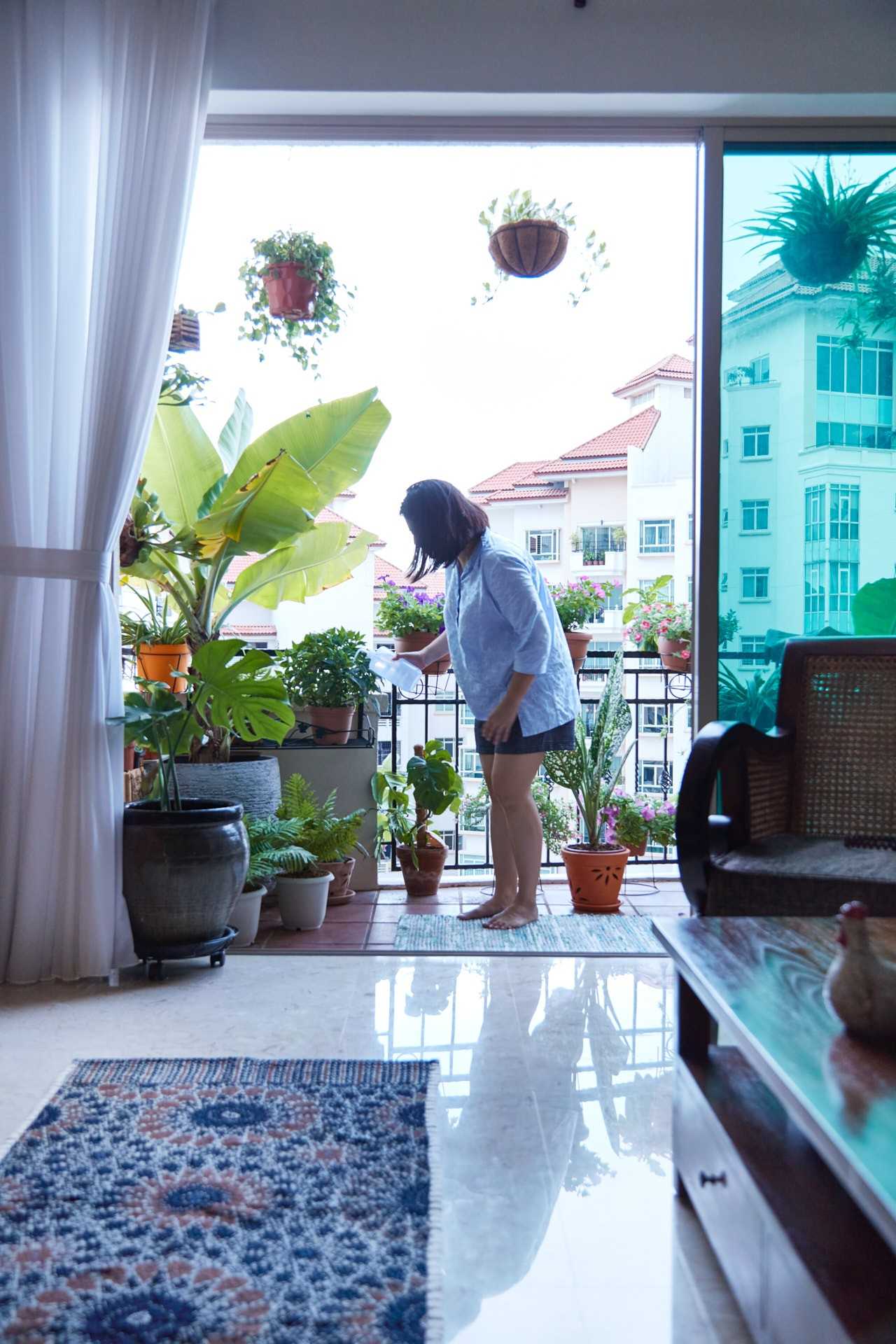 Country Balcony with Planters and Rugs