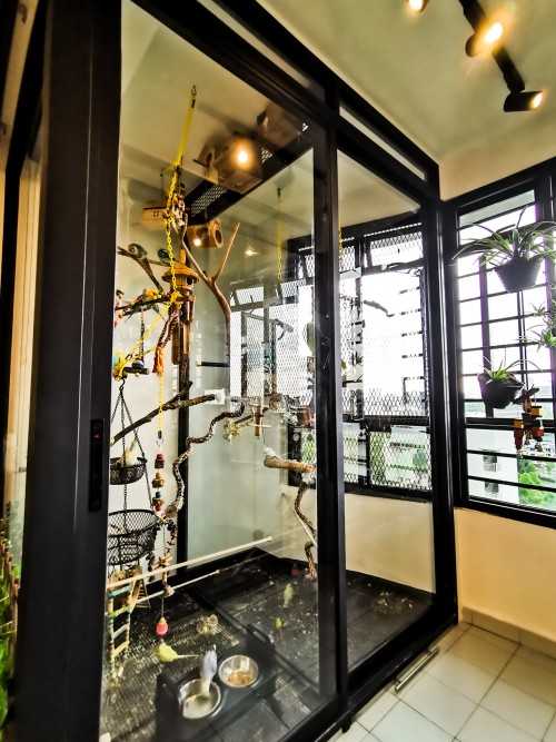 Contemporary Balcony at Bird Sanctuary