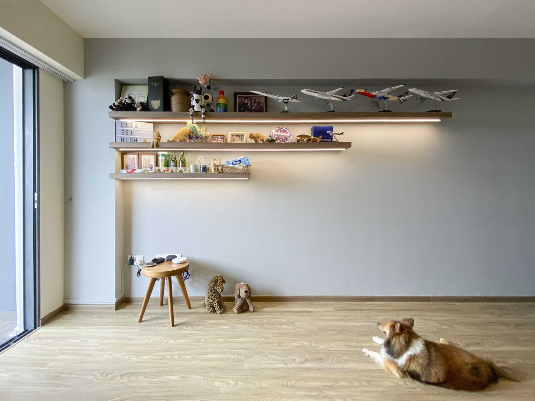 Scandinavian Living Room with Bookshelf and Vinyl Flooring