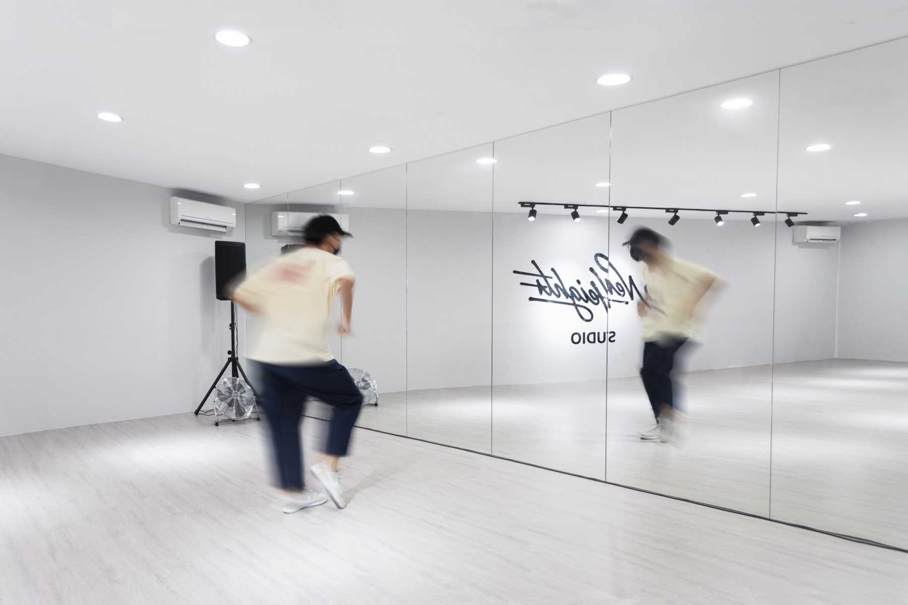 Contemporary Studio with Vinyl Flooring and Mirror