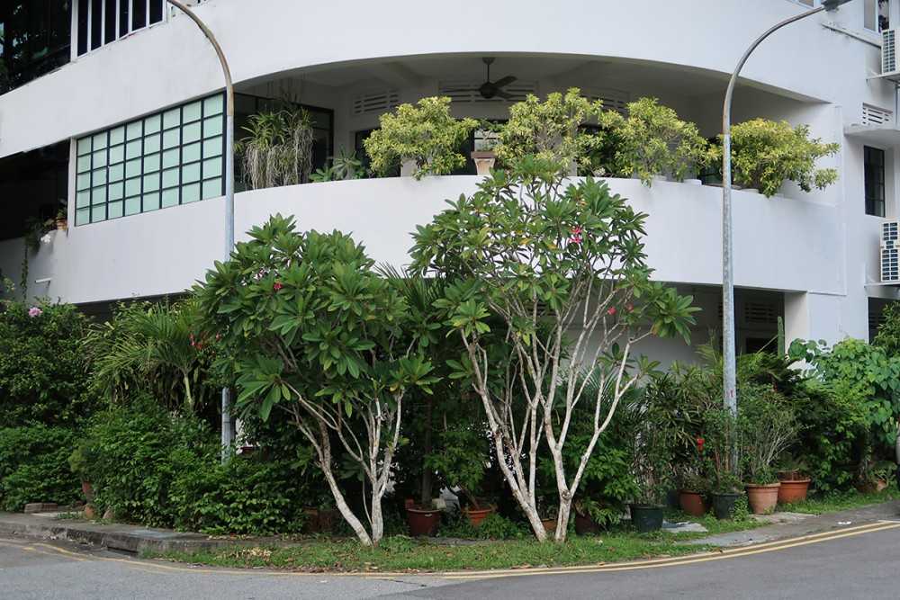 Block 81 #02.65A Tiong Poh Road, Singapore
