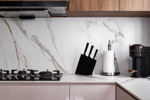 Contemporary Kitchen at double bay residence