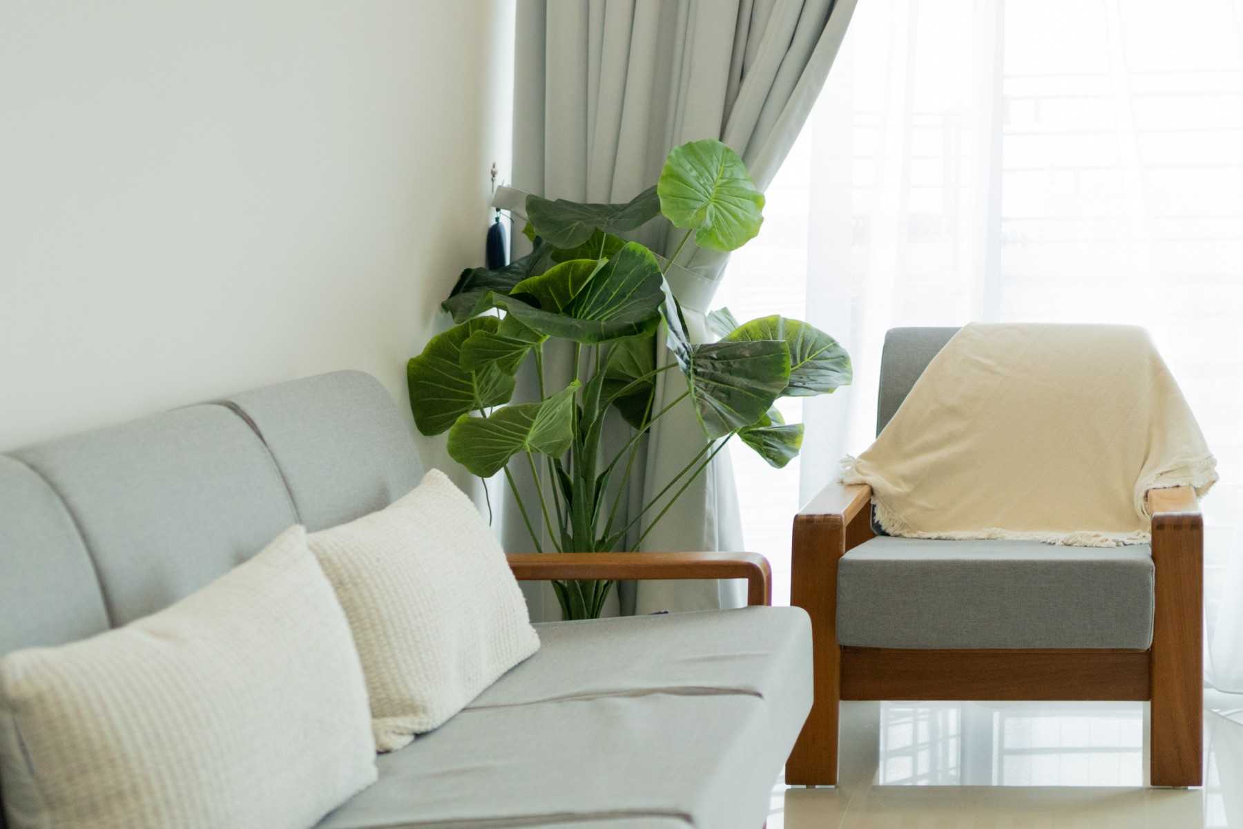 Modern Living Room with Curtain and Sofa