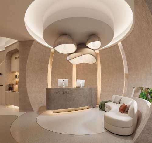 Minimalist Entryway at Curvaceous Cocoon Clinic Design