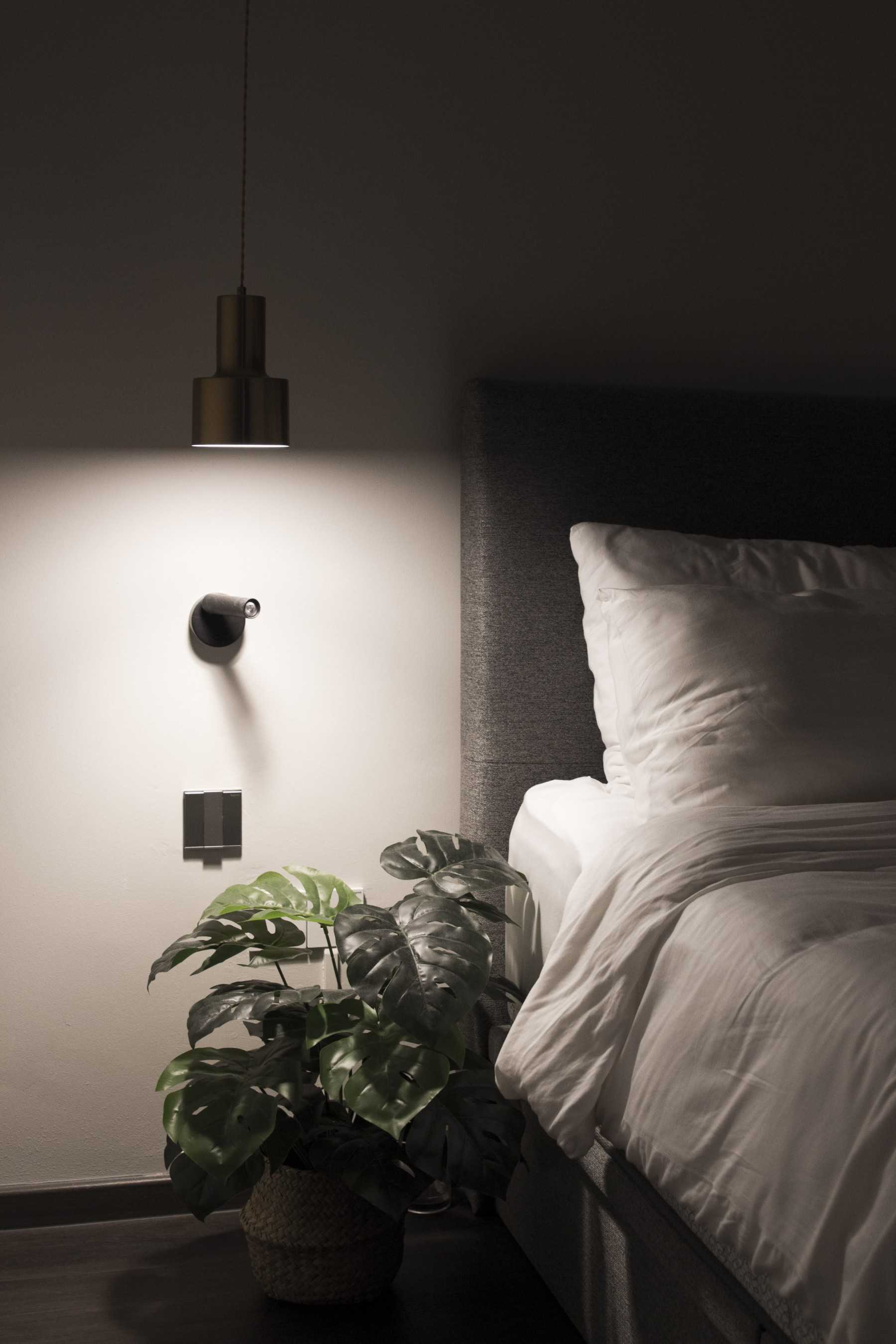 Scandinavian Bedroom with Vinyl Flooring and Queen Bed