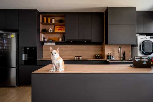 Modern Kitchen at Bidadari Park