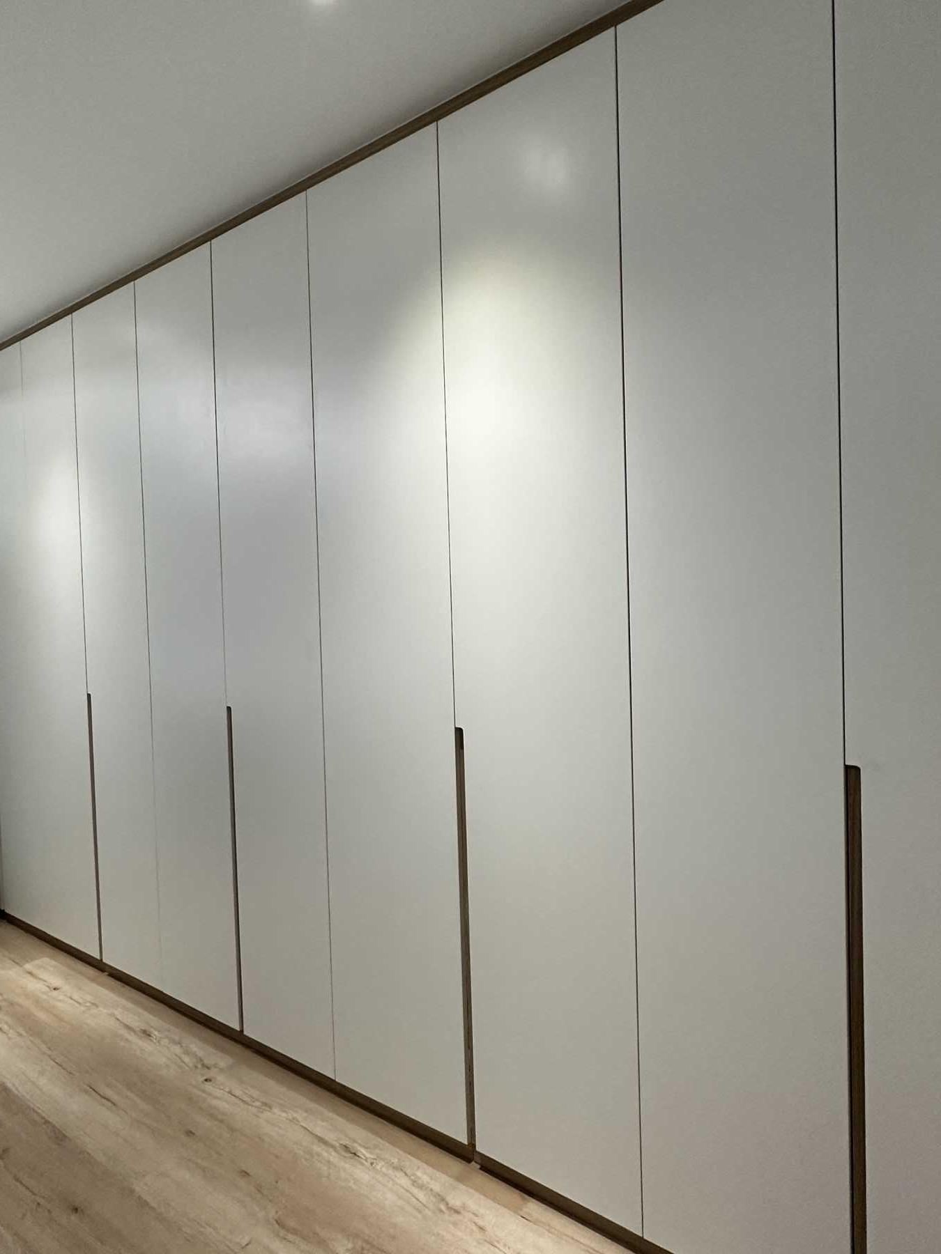 Modern Walk-in Wardrobe with Wardrobe and Small Storage