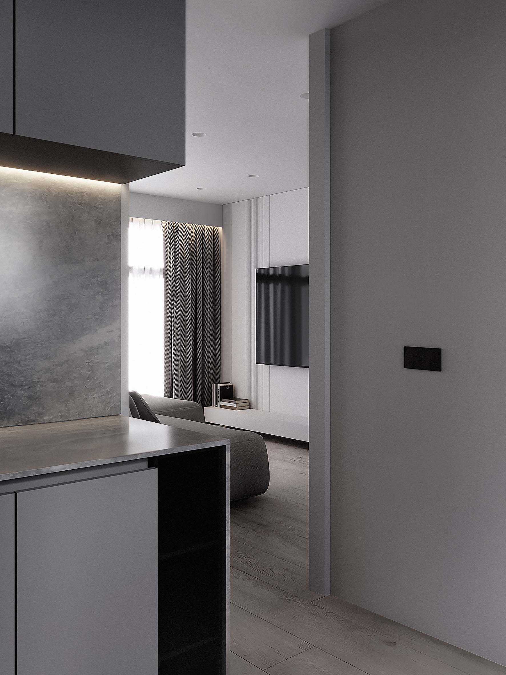 Minimalist Kitchen with Countertop and Wood Flooring