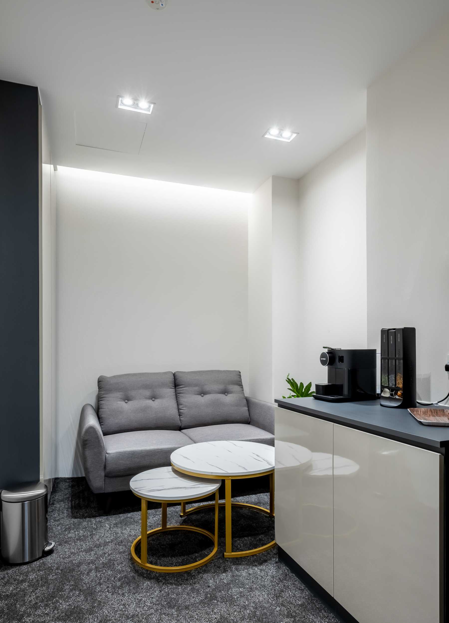 Contemporary Office with Carpet and Sofa