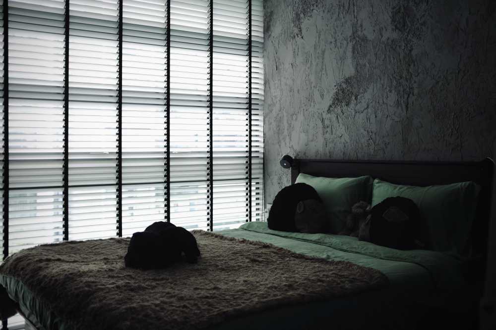 Condominium