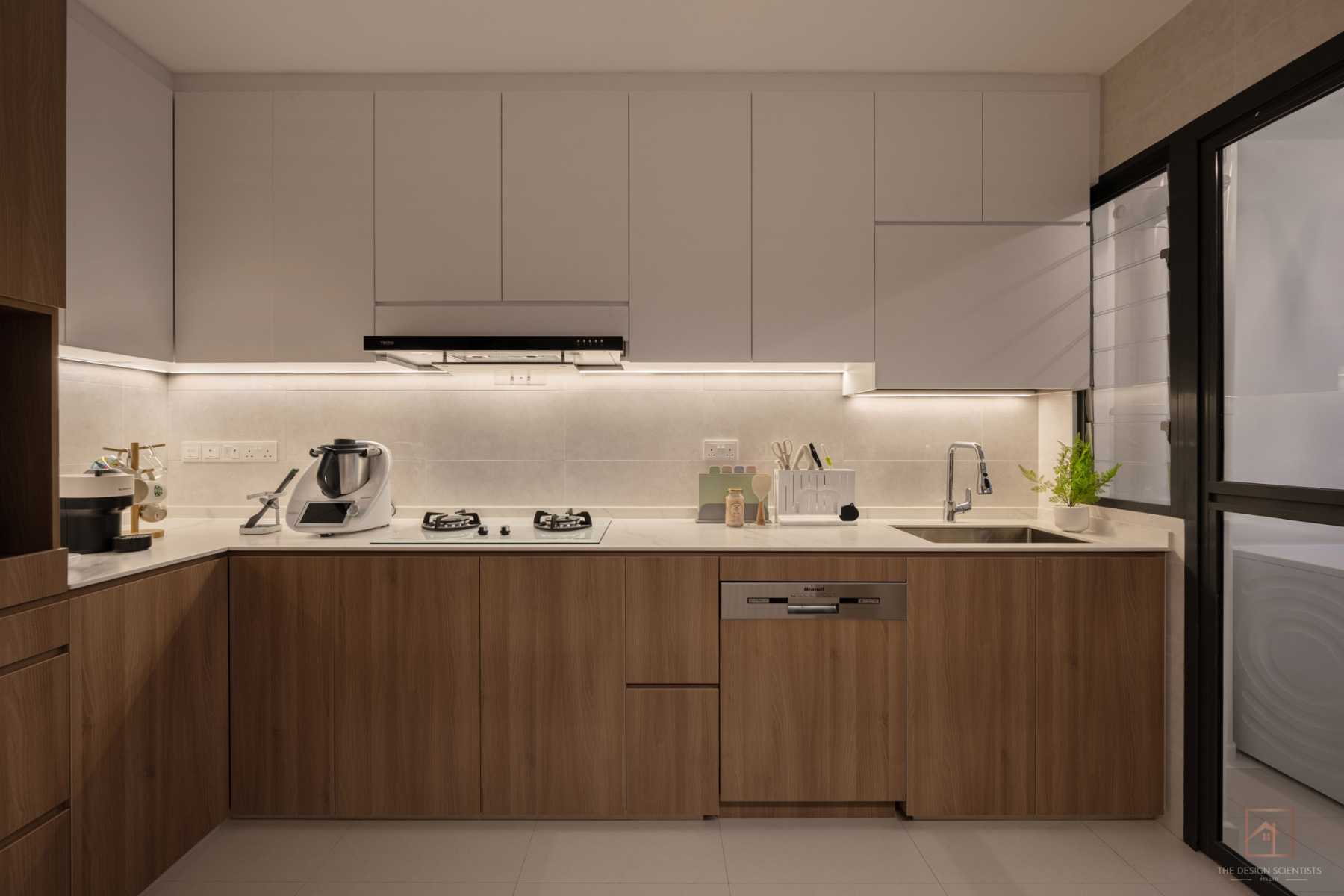 Contemporary Kitchen with Countertop and Homogeneous Tiles
