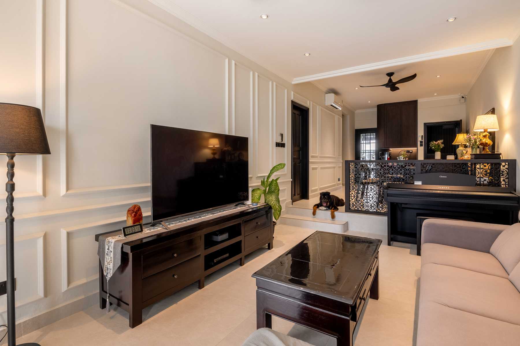 Modern Living Room with Drop Light and Sofa