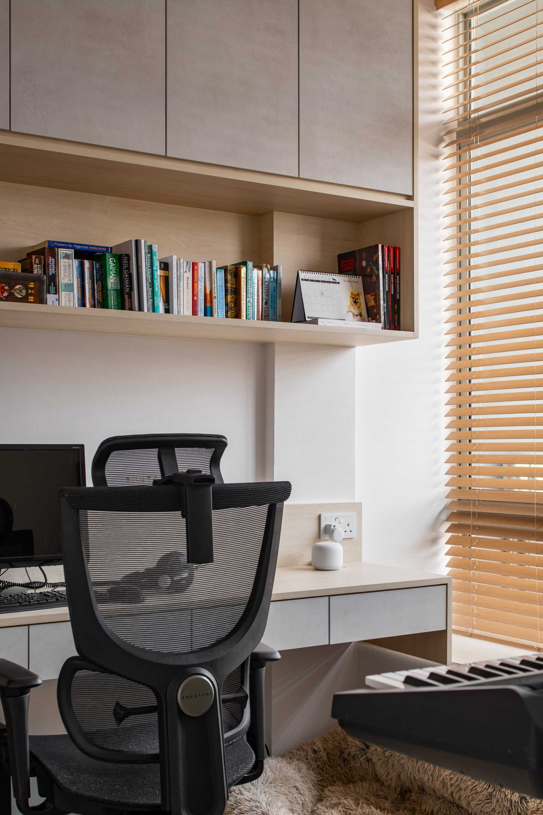 Scandinavian Study with Bookshelf and Ceiling Light