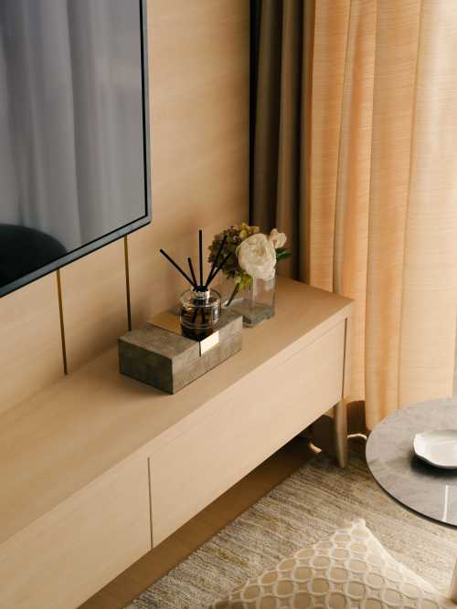 Modern Living Room at Neem Tree