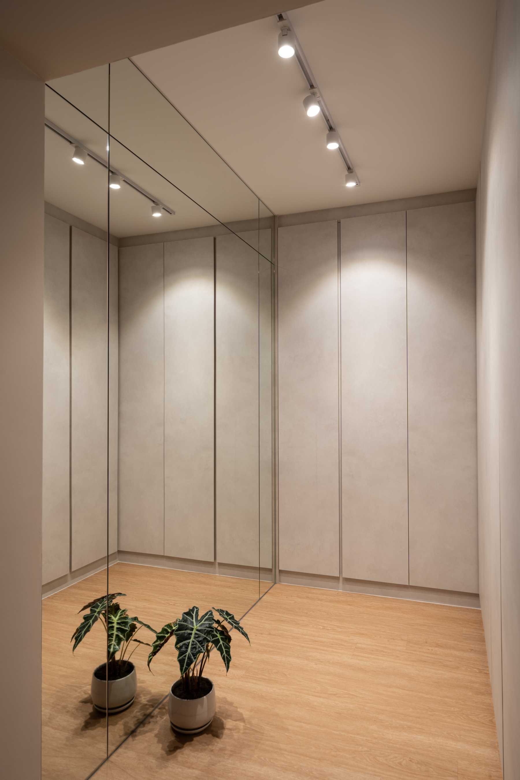 Minimalist Walk-in Wardrobe with Mirror and Wardrobe