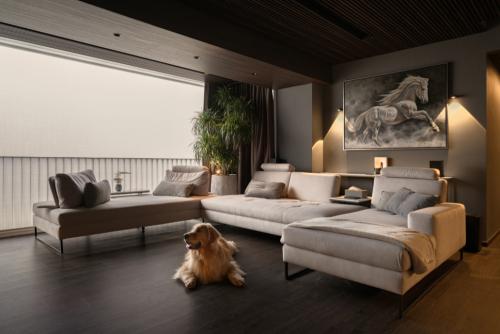 Modern Living Room at The Terrace
