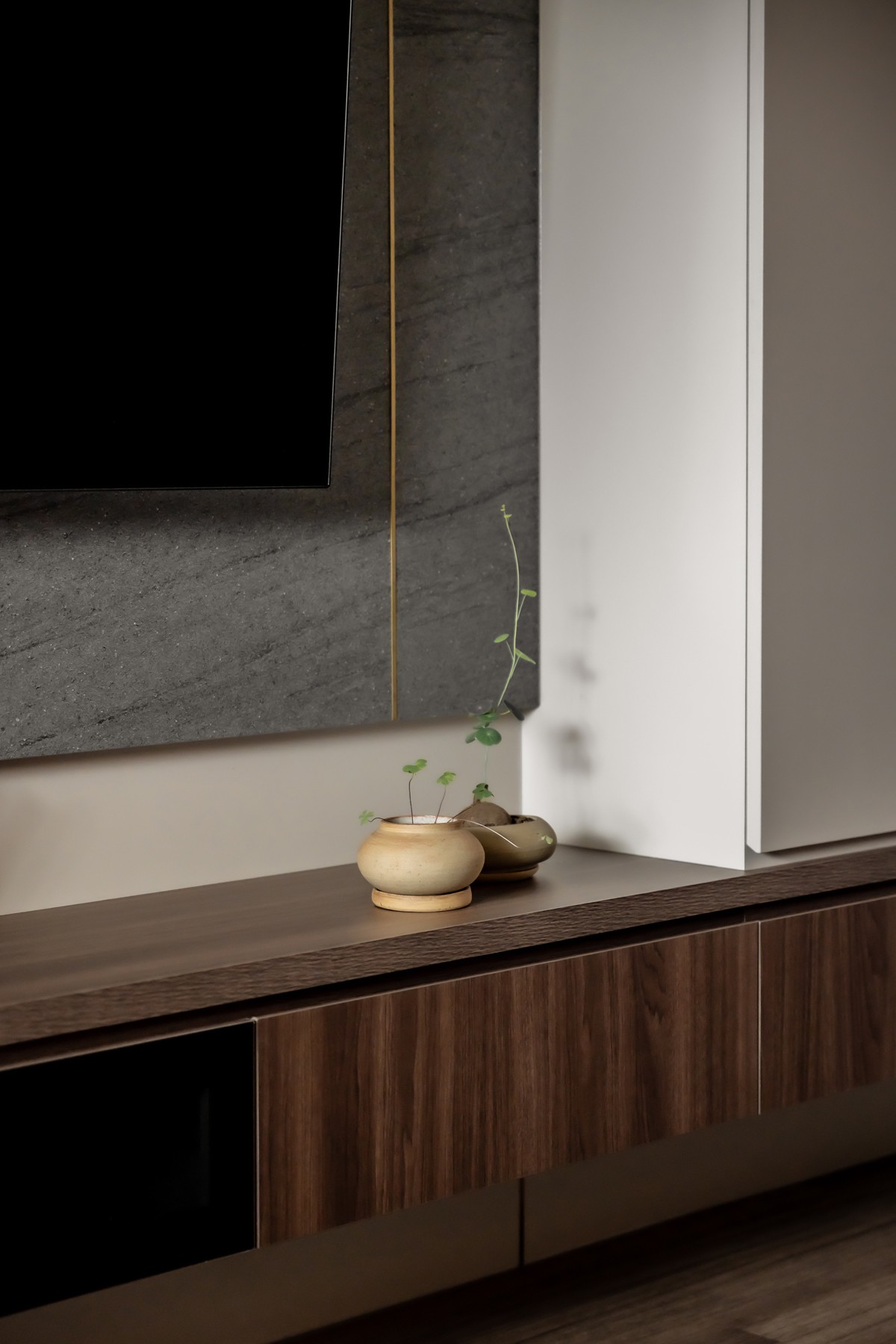 Contemporary Living Room with Feature Wall and Planters